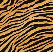 Image result for Tiger Stripes Drawing