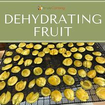 Image result for Dehydrating Fruit