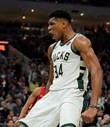 Image result for Giannis NBA