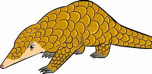 Image result for Pangolin Pattern PNG