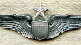 Image result for WW2 USN Pilot Wings