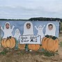 Image result for Fun Day Pumpkin Picking