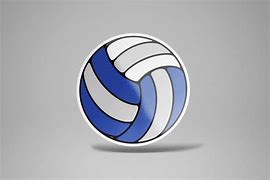 Image result for Volleyball Stickers