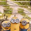 Image result for Minions Wallpaper for Phone