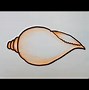 Image result for Conch Horn for Drawing