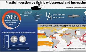 Image result for Sharp Increase in Marine Plastics Database
