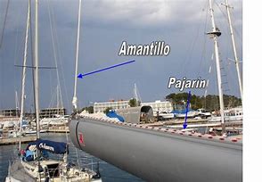 Image result for amantillo