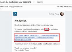 Image result for Working Email and Password