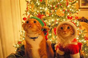 Image result for Funny Holiday Memes Work