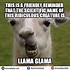 Image result for Llama Meme Face 1080 Px