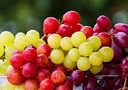 Image result for Healthy Ideas for Grapes