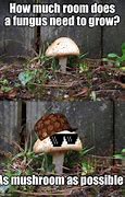 Image result for Fungi Meme