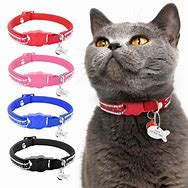 Image result for Funny Male Cat Collars