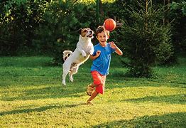 Image result for kids play with pet