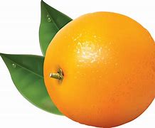 Image result for Big Island Orange Fruit