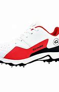 Image result for Metal Cricket Spikes