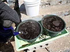 Image result for Sterile Potting Soil
