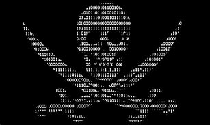 Image result for A Hacking Screen