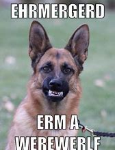 Image result for German Shepherd Dog Memes