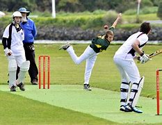 Image result for Free Online Pictures No Copyright Cricket