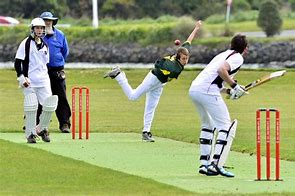 Image result for Cricket I Just Love It