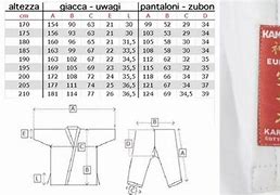 Image result for Types of Karate GI