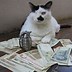 Image result for thugs life cats