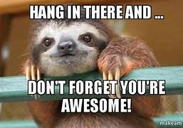Image result for Hang in There You Got This Meme