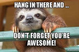 Image result for Hilarious Hang in There Meme