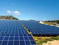 Image result for Vertical Solar Panels in Field