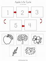 Image result for Apple Life Cycle Worksheet Free