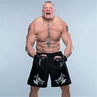 Image result for brock lesnar