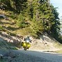 Image result for Motorcycle Off-Road Lights