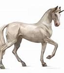 Image result for Fat Unicorn Transparent