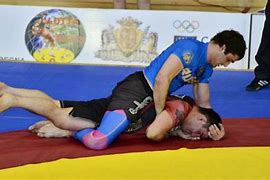 Image result for Grappling Martial Arts Styles