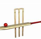 Image result for Animated Cricket Bat