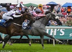 Image result for Goodwood Racing Robin Lackford