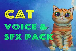 Image result for SFX Cat