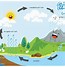 Image result for Printable Water Cycle Poster