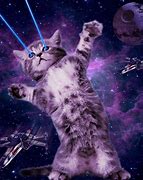 Image result for Cats with Laser Beams