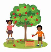 Image result for Happy Children Picking Apples