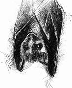 Image result for Pencil Bat 2