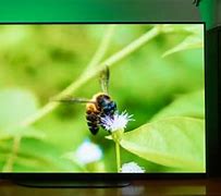Image result for Sony A9 Port