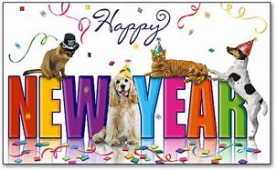 Image result for New Year's Eve Pets