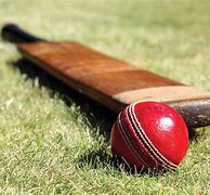 Image result for cricket bat ball images