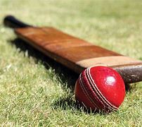 Image result for Cricket Bat Ball