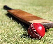 Image result for cricket bat ball images