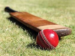 Image result for cricket bat ball images