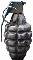 Image result for A Yellow Bird Grenade Meme