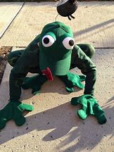Image result for Anime Frog Costume